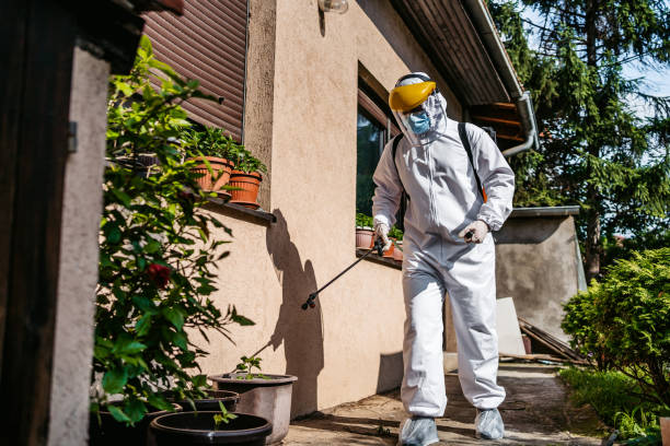 Best Residential Pest Control  in Austintown, OH