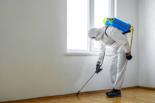 Best Emergency Pest Control  in Austintown, OH